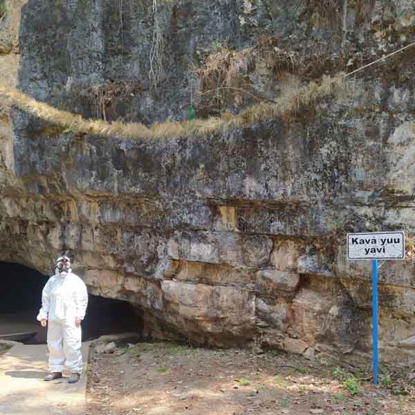 Hongo pone en peligro al murciélago… y a nosotros