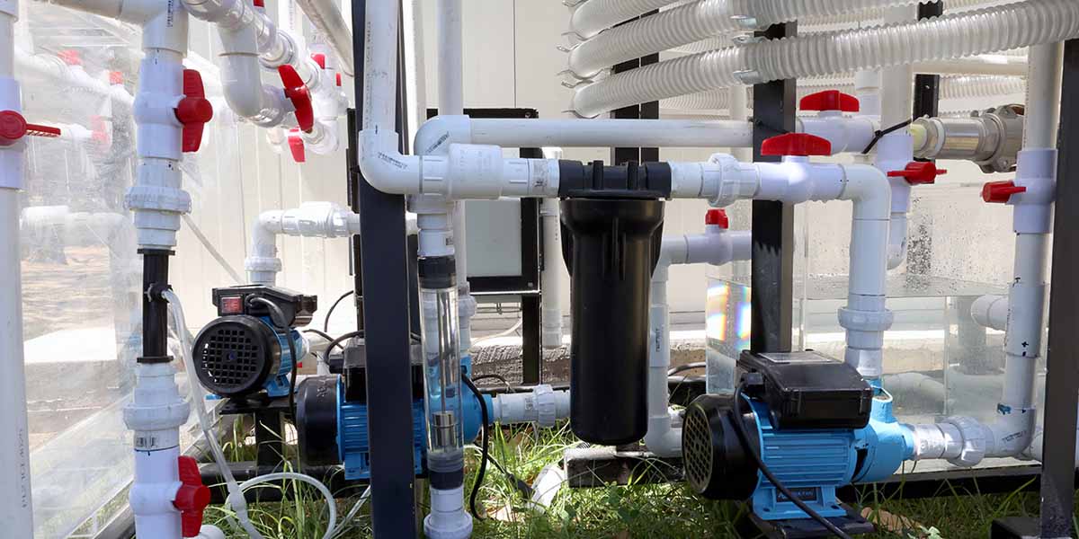 Politécnicos desarrollan sistema para saneamiento de agua
