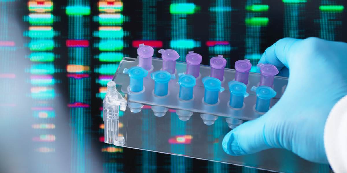 Busca SIP potenciar habilidades de investigación
