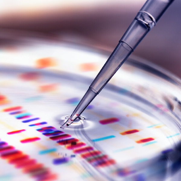 Busca SIP potenciar habilidades de investigación