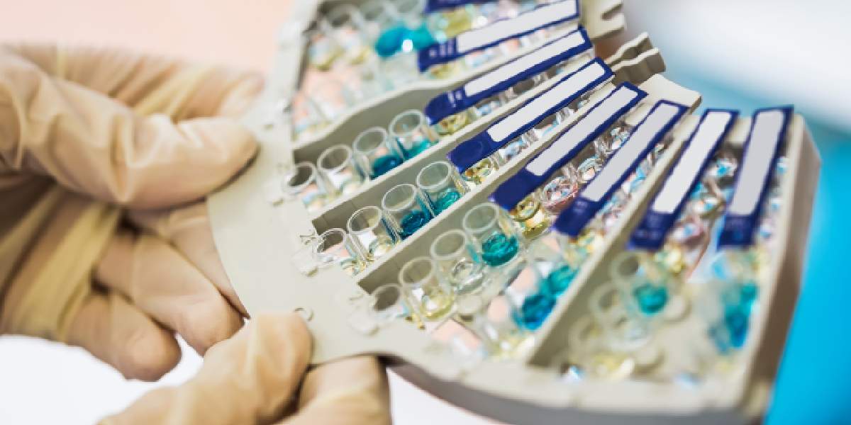Busca SIP potenciar habilidades de investigación