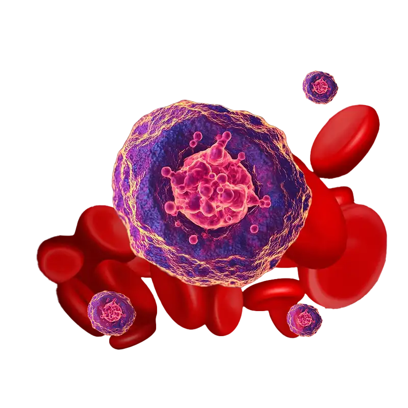 Involucra IPN Inteligencia Artificial para prueba rápida en diagnóstico de leucemia
