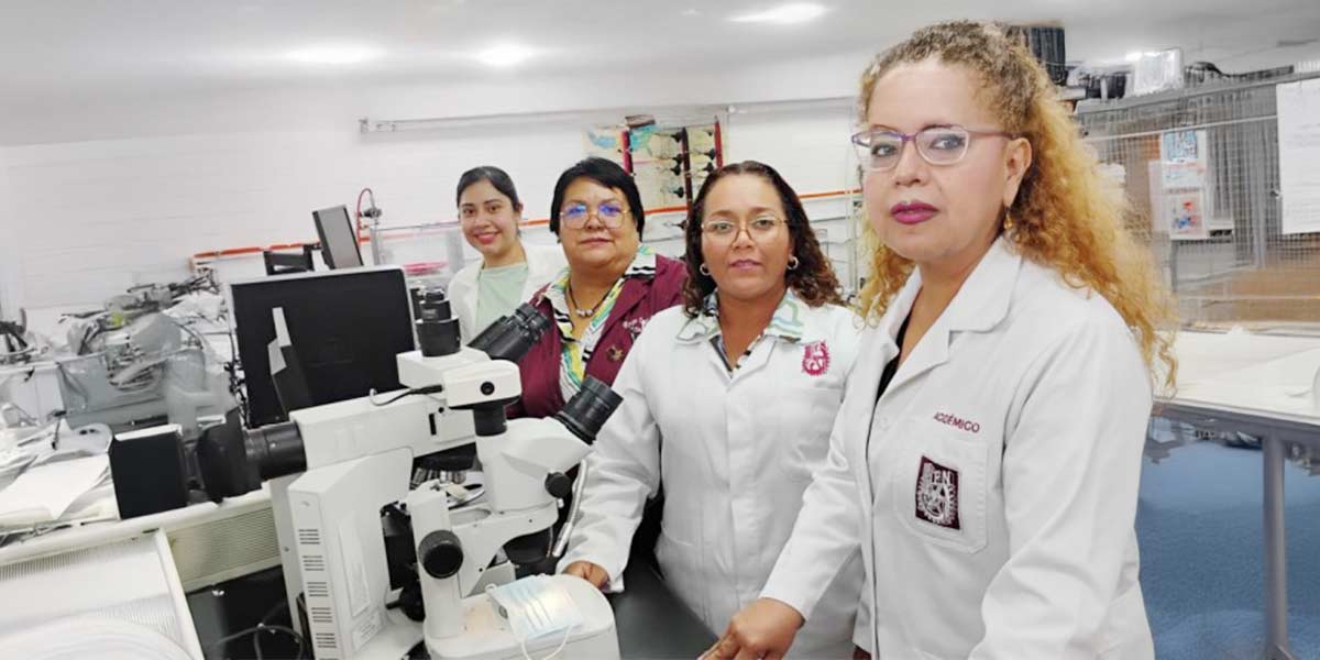 Apuestan a que bacteria desintegre cubrebocas