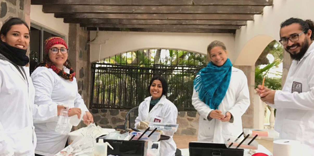 La “playa negra”, en la lupa del CICIMAR
