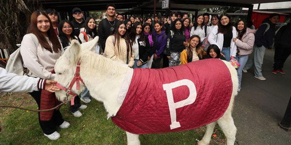 Arranca la 6ª Semana de la Ingeniería Química 