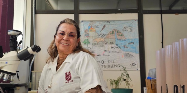 Pone lupa y alerta CIIDIR Durango en ahuehuetes