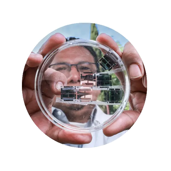 Trabajan IPN y universidad española en celda solar orgánica