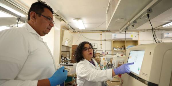 Ubica ENMH 20 pólenes alérgicos para capitalinos