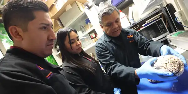 Nuevo hallazgo redefine cómo inicia el Alzheimer