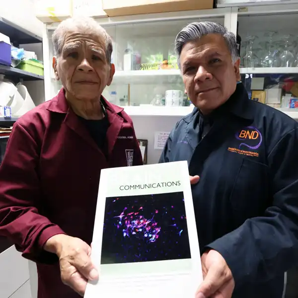 Nuevo hallazgo redefine cómo inicia el Alzheimer