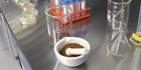 Con nanotecnología, Marlon Rojas y Andrea Hernández abordan la resistencia bacteriana a los antibióticos