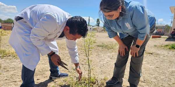 CIIDIR Durango preserva ecosistema único