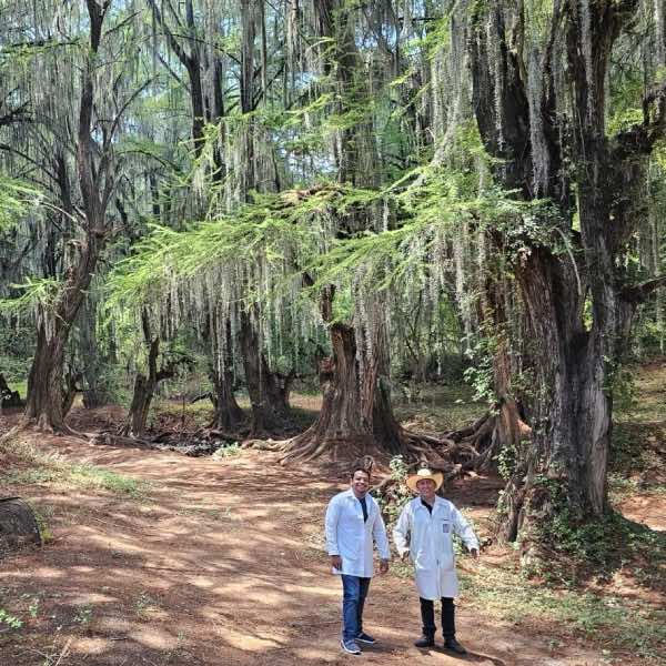 CIIDIR Durango preserva ecosistema único