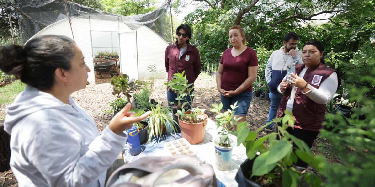Poesía y medio ambiente, en tranvía por Zacatenco