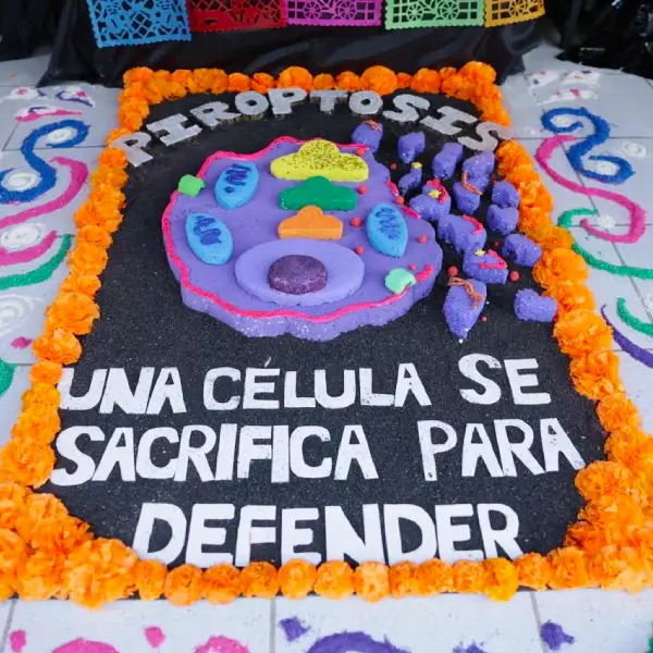 Luce creatividad ENMH con Cementerio de Células 