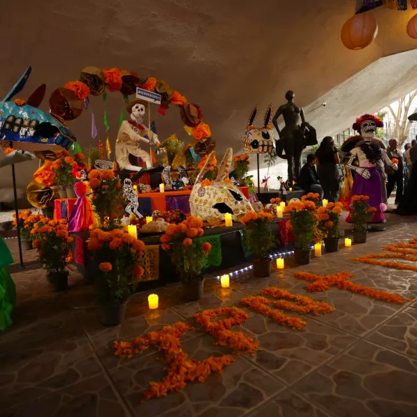 Entre cempasúchil y huélums; conoce nuestra Ofrenda
