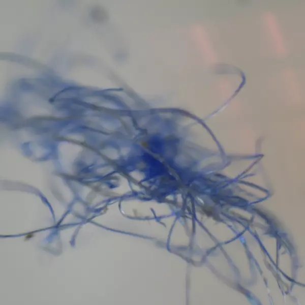 Detecta CICATA Querétaro microplásticos en el aire