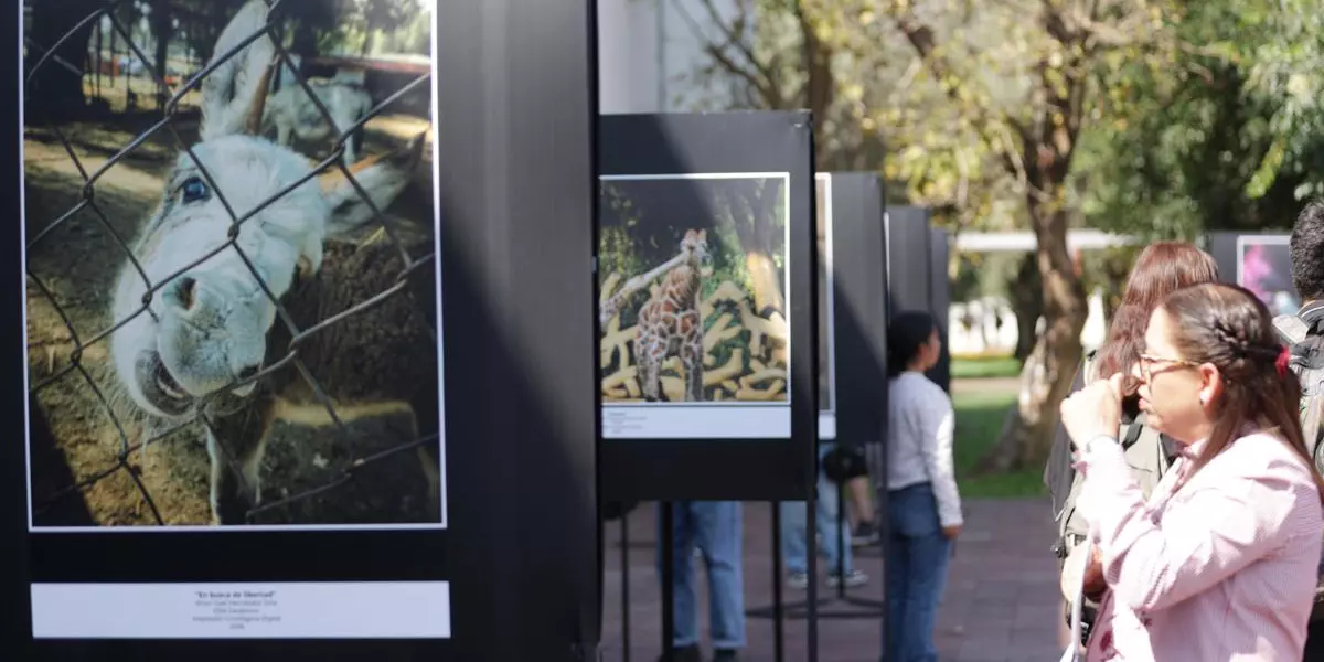 No te pierdas la muestra fotográfica “Realidad o Ficción”