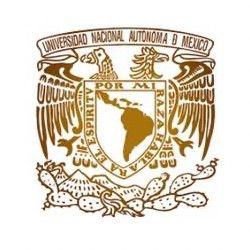 logo_unam_2