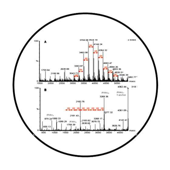  UHPLC-ESI-APCI