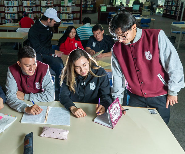 Ciencias Sociales y Administrativas