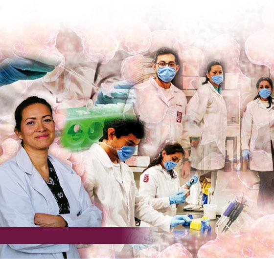 Gaceta VPH