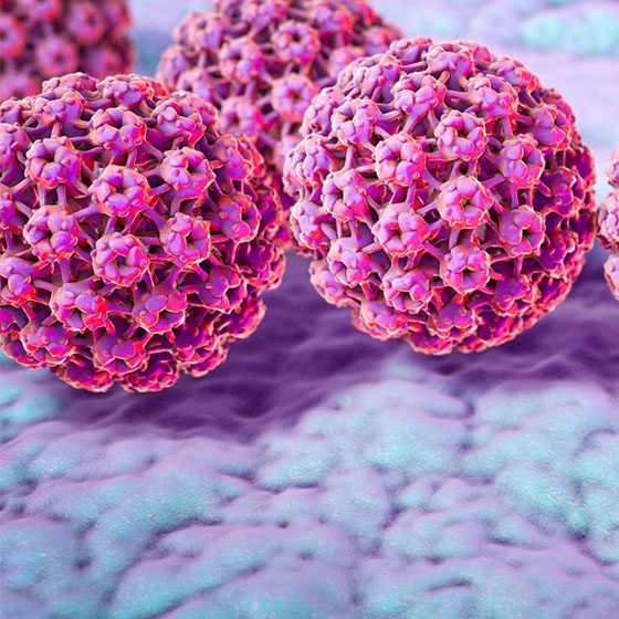 Virus de Papiloma Humano