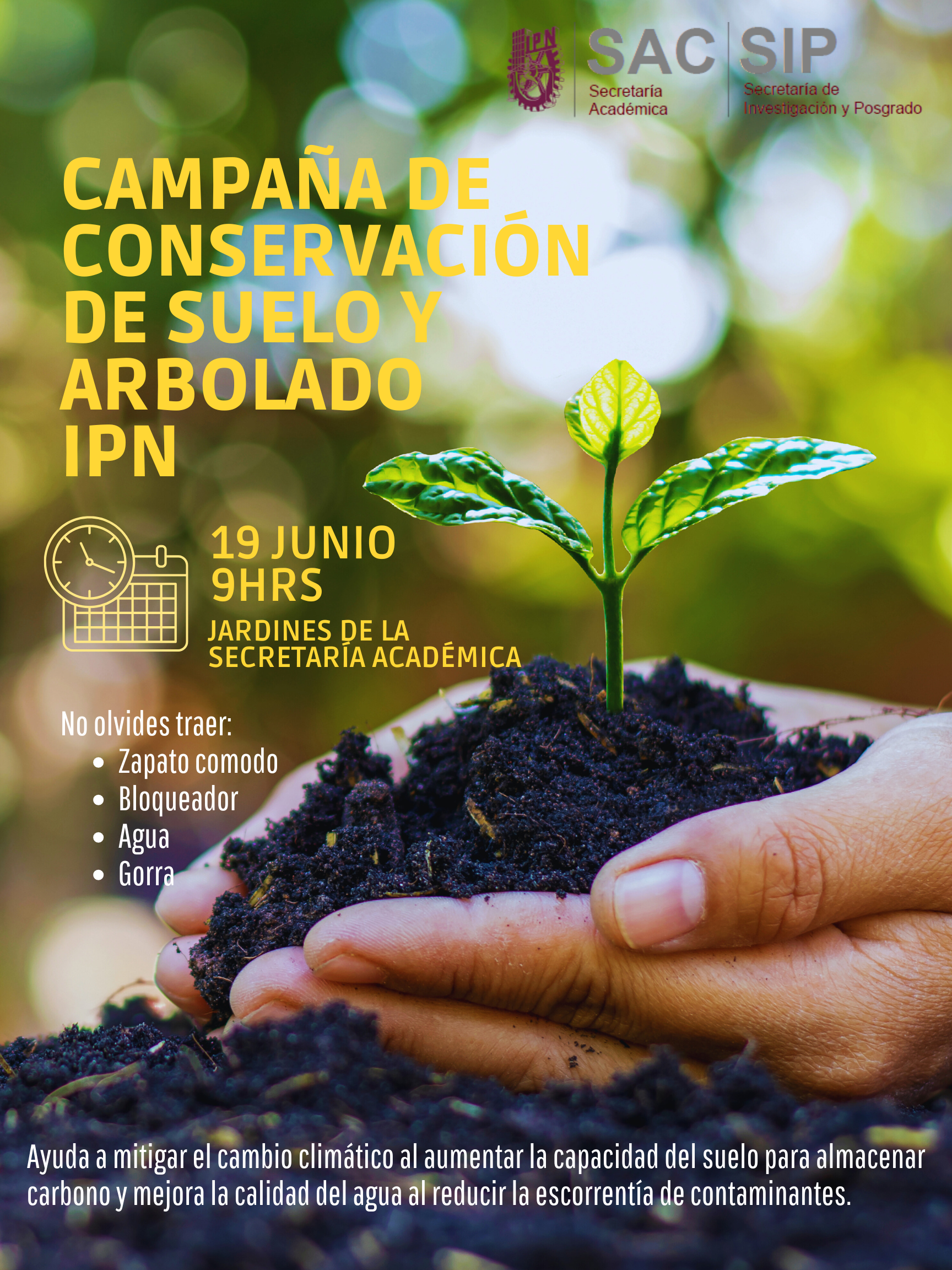Galeria Sustentabilidad