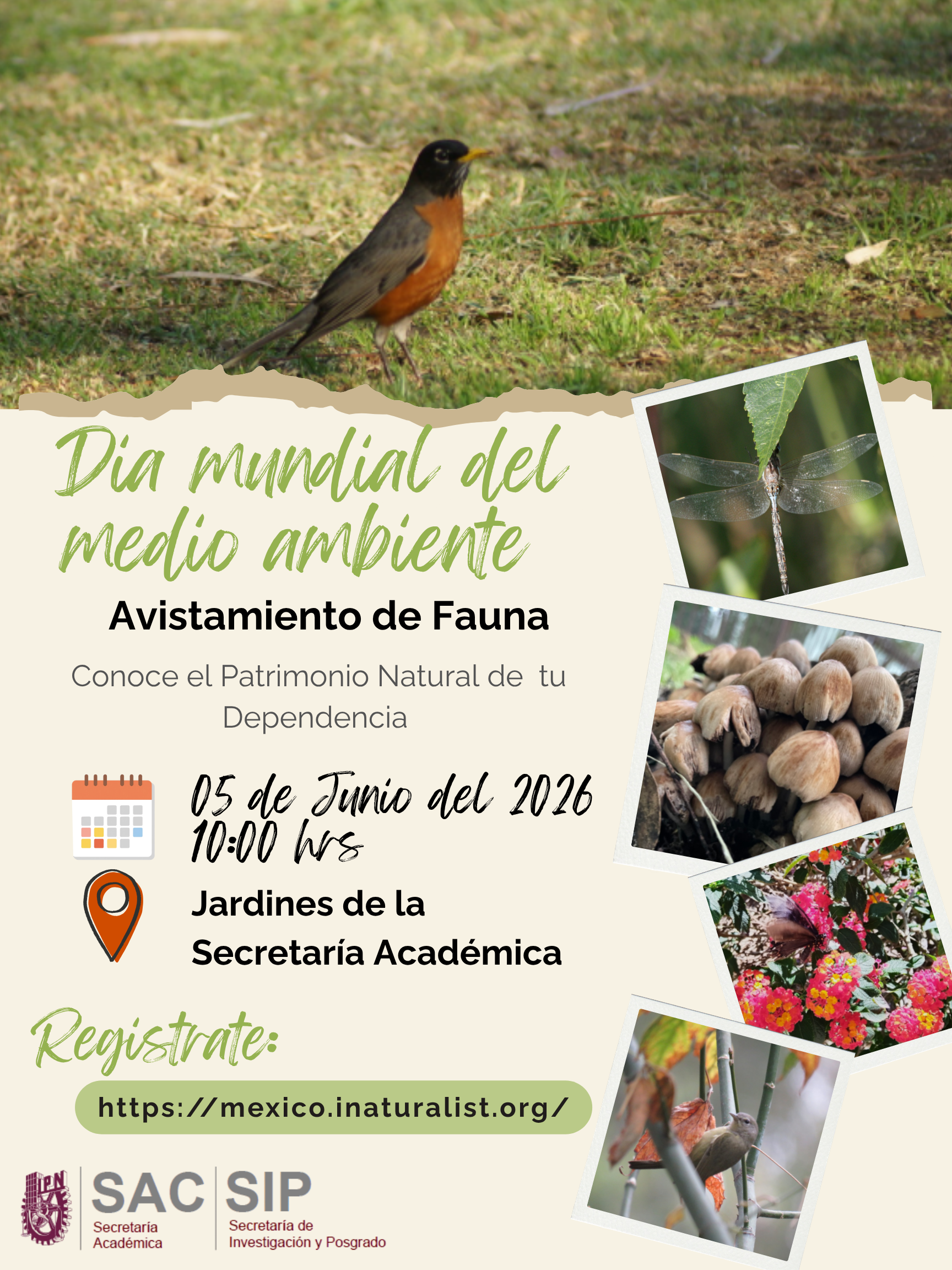 Avistamiento Aves y fauna