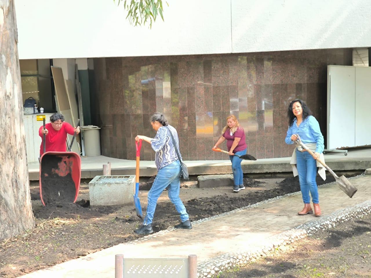Preparación del terreno