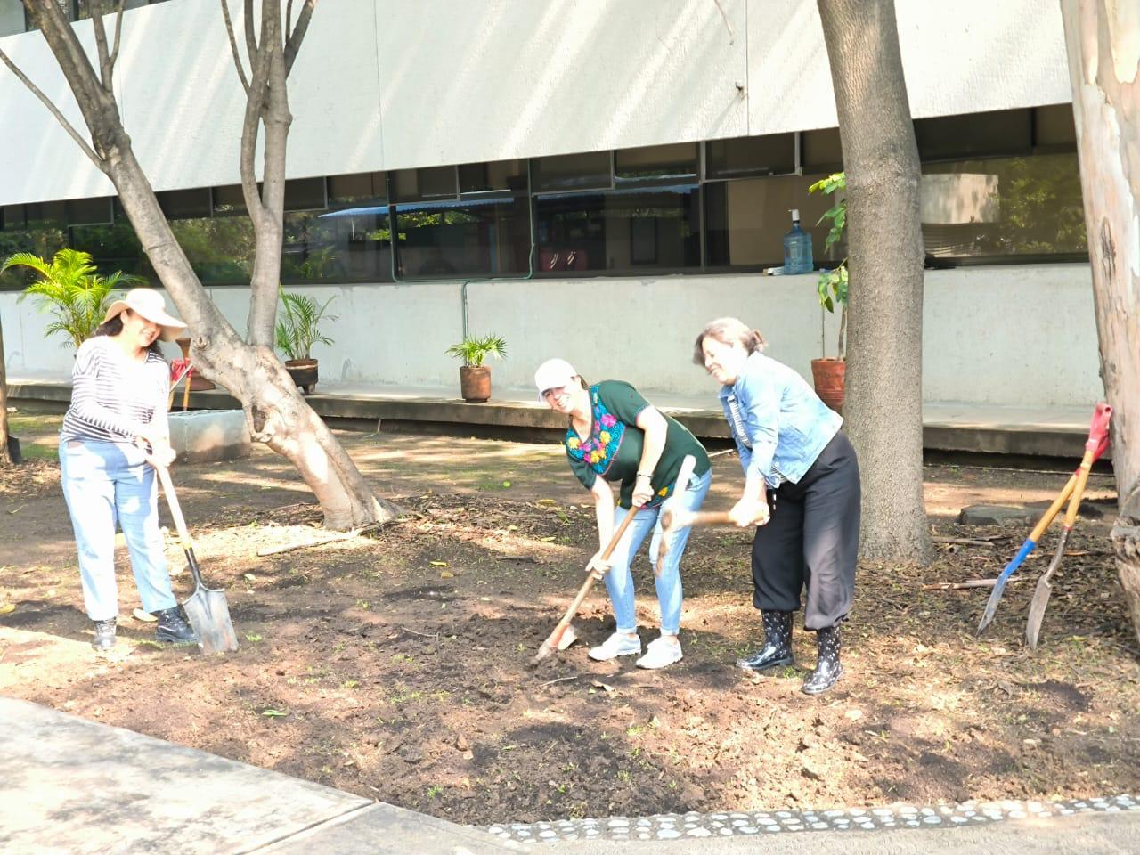 Trabajo colaborativo sustentable