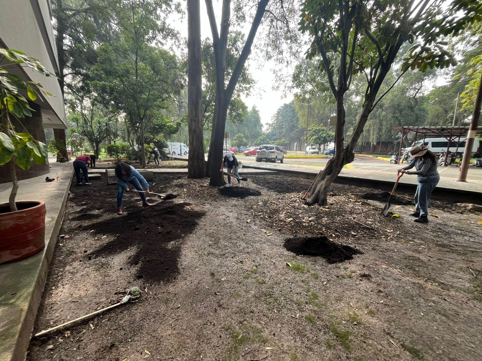Conservación del suelo