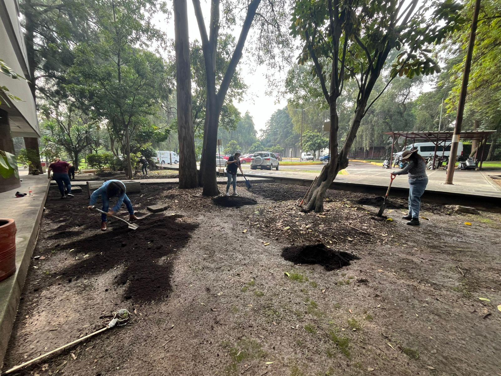 Mejoramiento de áreas verdes