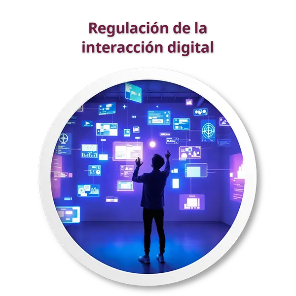 regulacion-de-la-interaccion-digital