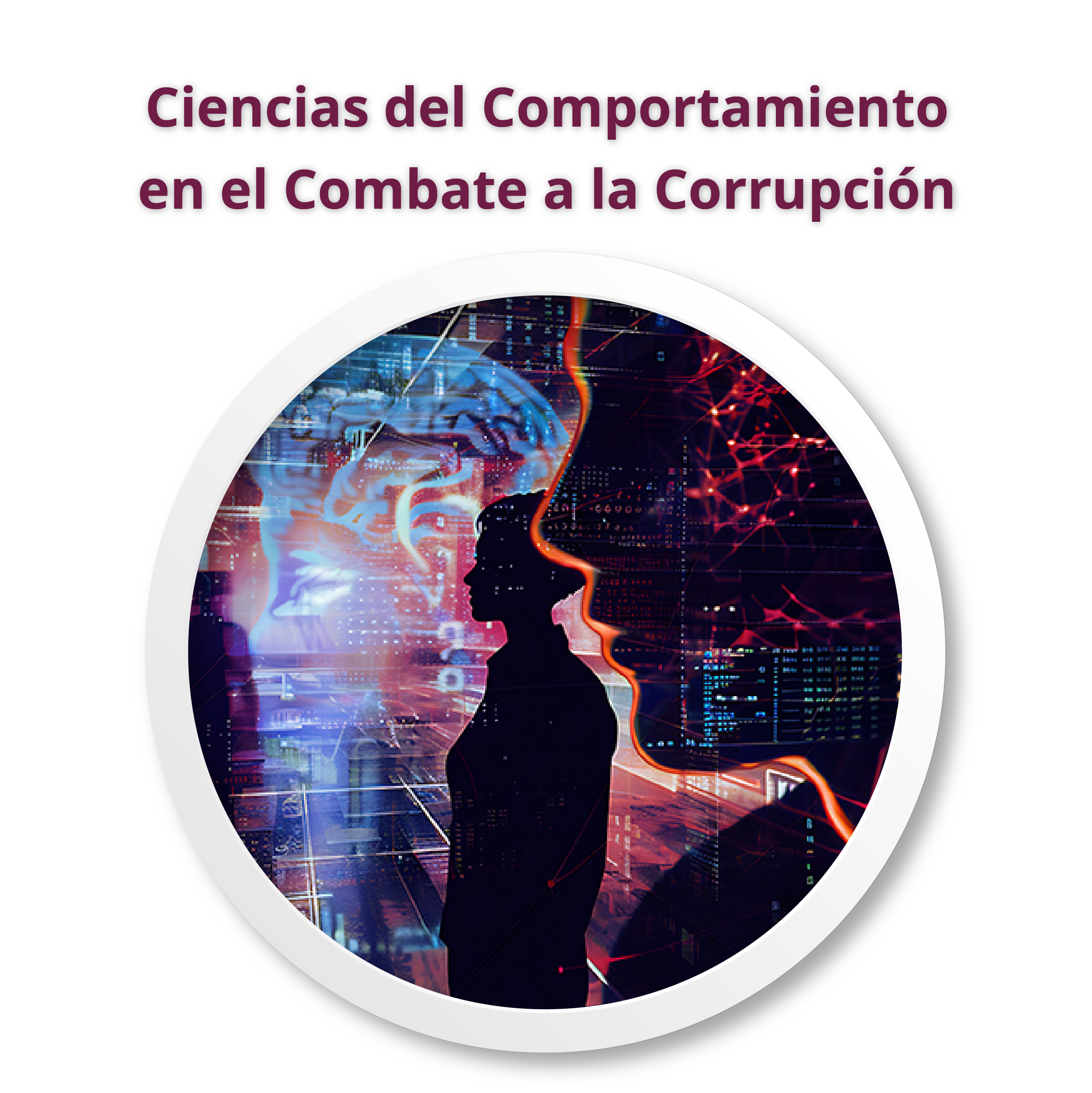 ciencias-comportamiento-combate-corrupcion