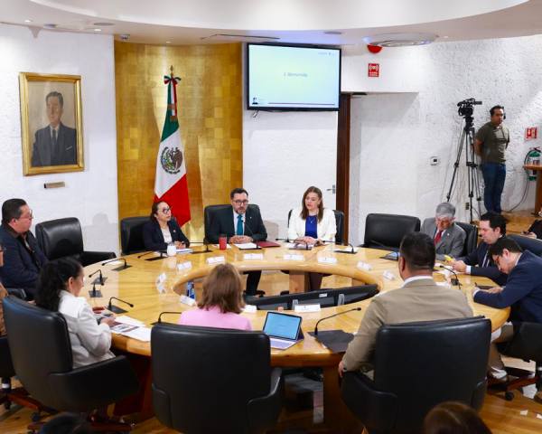 Avances y proyecciones en la Primera Reunión del Comint
