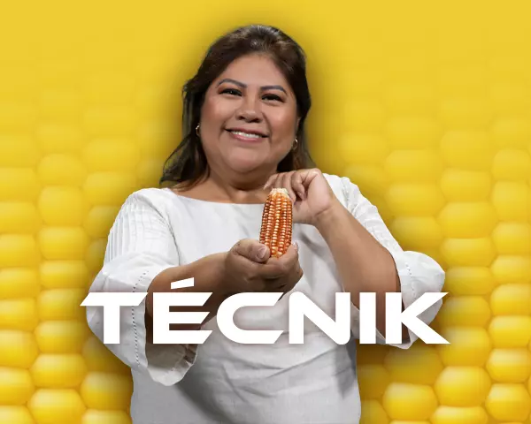 No te pierdas Técnik el próximo miércoles y conoce más del cuidado del maíz