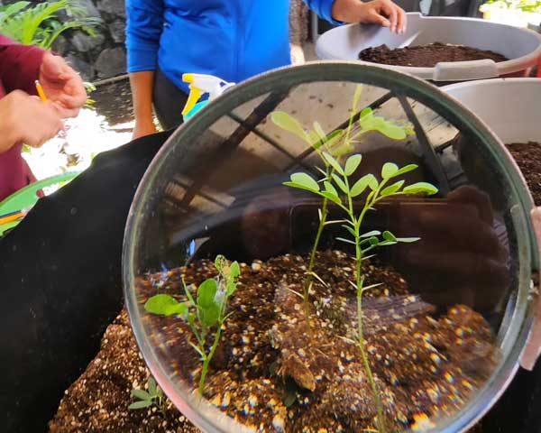 CEPROBI TRANSFORMA ESPACIOS VERDES CON PASIÓN Y TÉCNICA