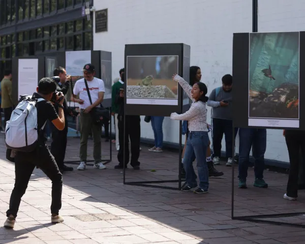 Entre la “Realidad o Ficción”; no te pierdas esta exposición fotográfica hasta el 18 de noviembre