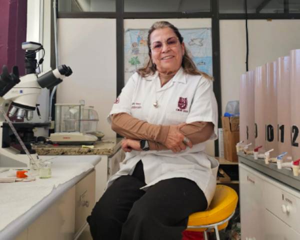 En riesgo, valor ecológico de sabinos (ahuehuetes): CIIDIR Durango