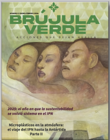 Brújula Verde Núm 5