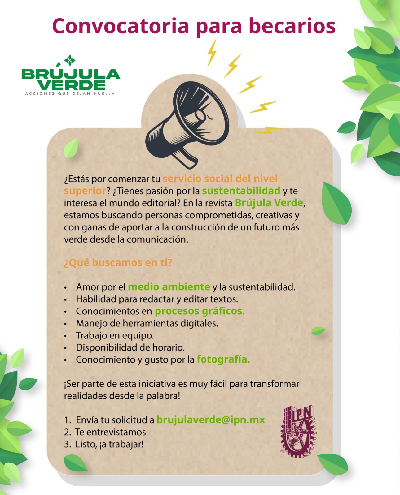 servicio social