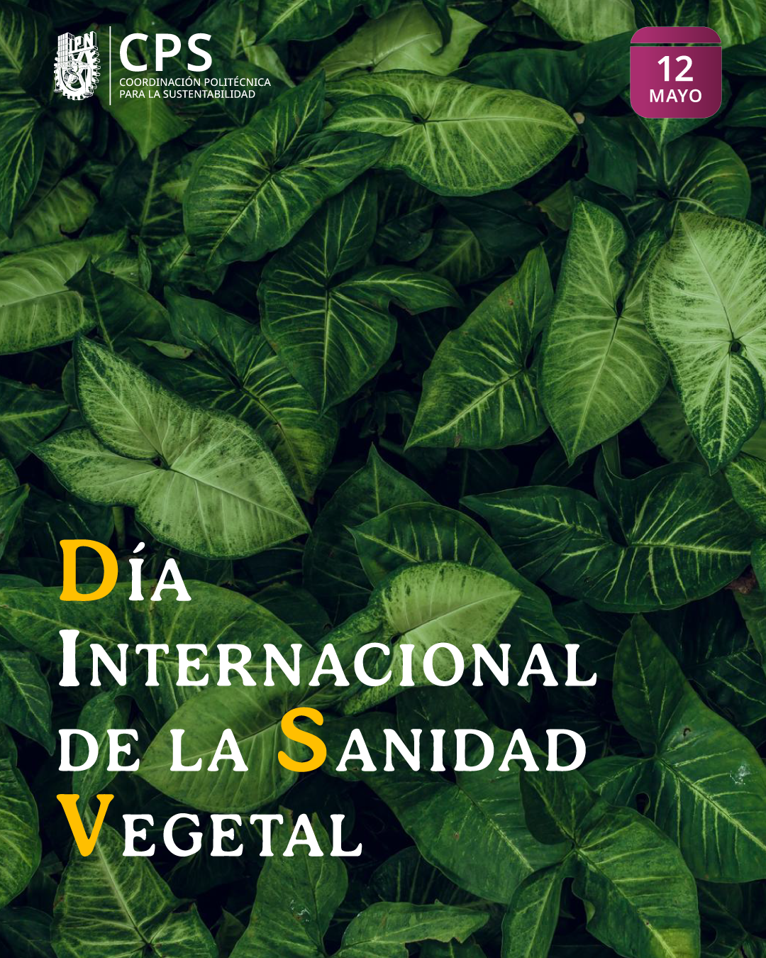 05 marzo