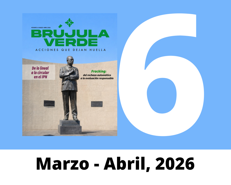 Brújula Verde