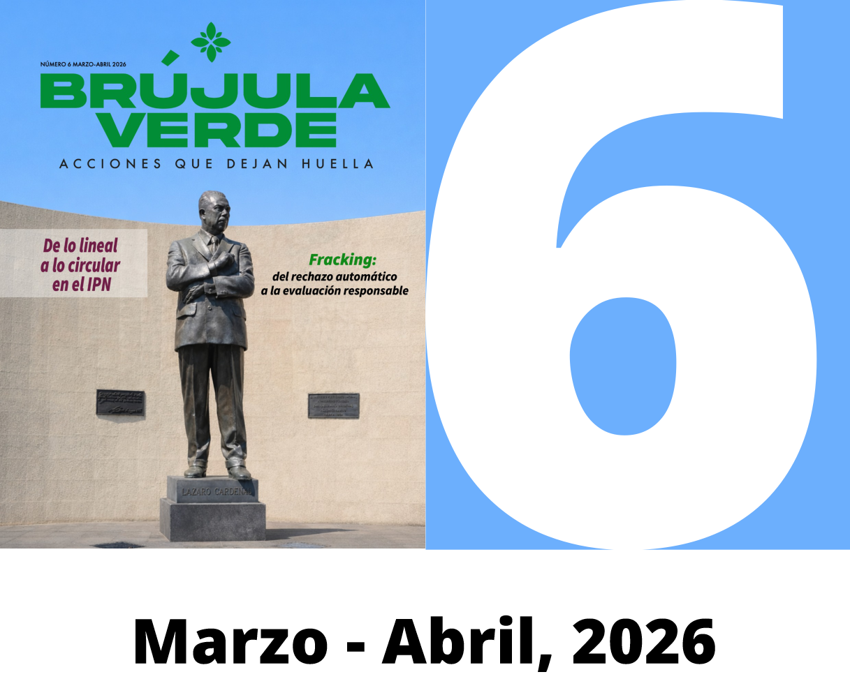 Brújula Verde