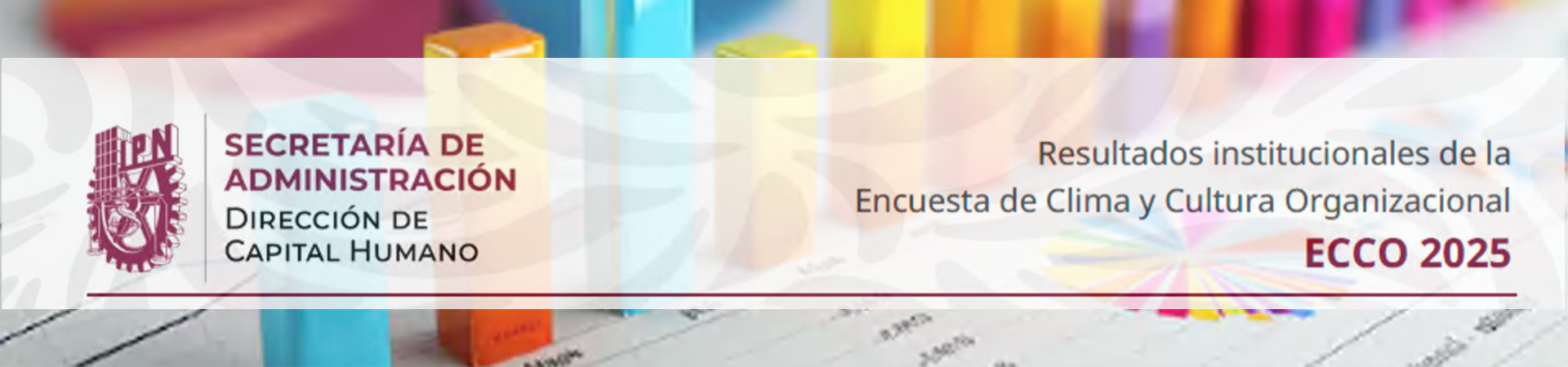 ECCO-2025