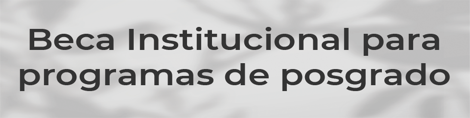 Beca Institucional