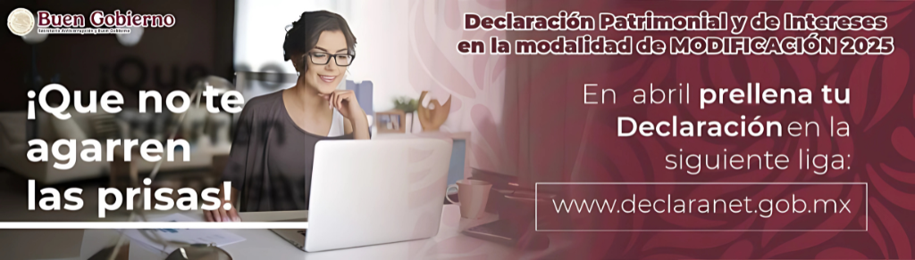 Declaracion Patrimonial (2).png