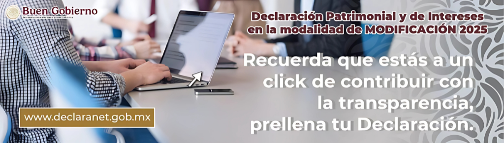 Declaracion Patrimonial.png