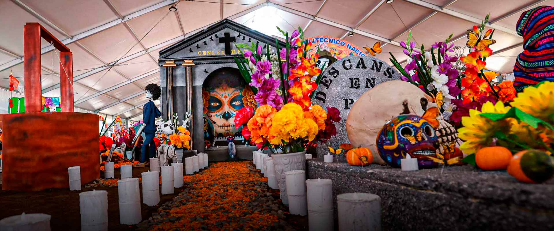 IPN: Conectando talento y compromiso